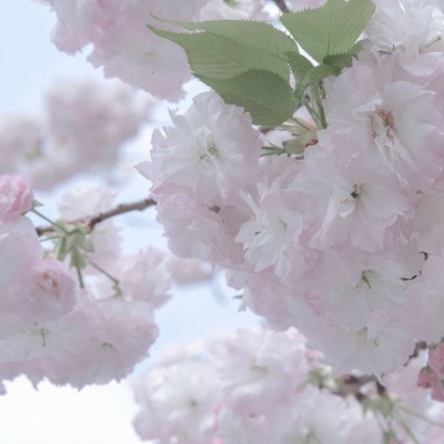 同江FurryQQ群介绍